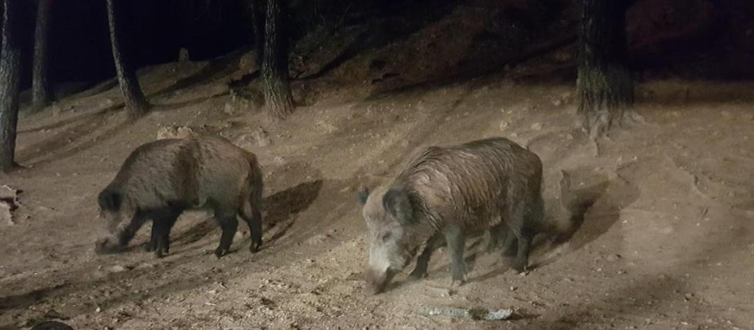 꼬또 리오스 El Fresno Cazorla 아파트 외부 사진